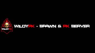 WildyPK - SPAWN & PK Server!