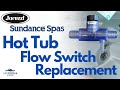 Jacuzzi Sundance Hot Tub Flow Switch Replacement | Watchdog Error