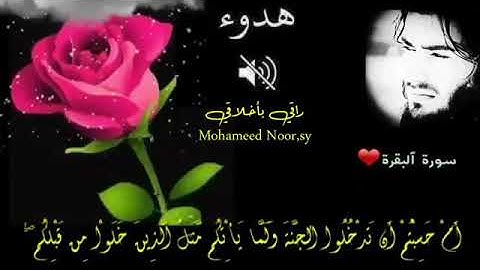 حالات واتس اب 💖القران الكريم 💖اية من سورة البقرة