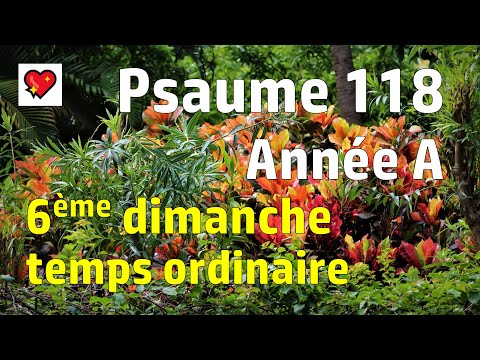 Psaume 118 - Année A - Messe 6ème dimanche temps ordinaire - Heureux ceux qui marchent - En Église