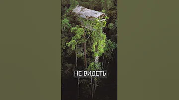 Мужик стал отшельником, но через неделю СДАЛСЯ