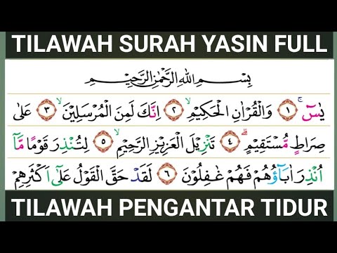 Tilawah Surah Yasin Lengkap Pengantar Tidur
