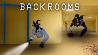 Backrooms || An Animal Company Movie