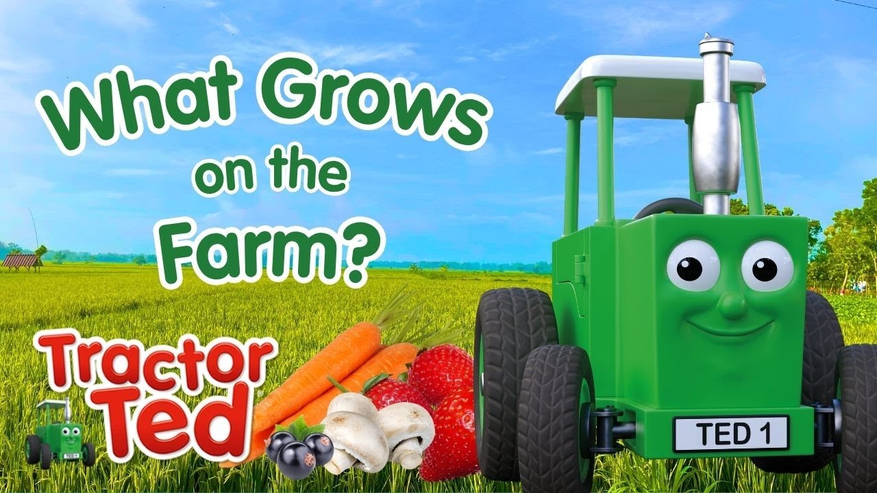 What Grows on the Farm? Explore with Tractor Ted! 🍓🥕 Fruits & Vegetables