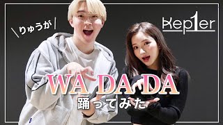 【りゅうがくんとコラボ！】Kep1er（ケプラー）の「WA DA DA」を踊ってみたよ🤣✌🏻