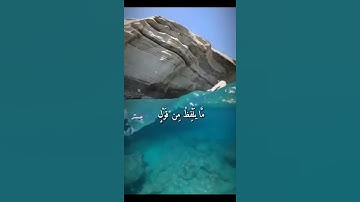 واتس اب قران كريم القارئ ياسر الدوسري من سورة (ق)