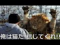 【衝撃】殿堂入りボケてがツッコミどころ満載だったwww72【ツッコミ】