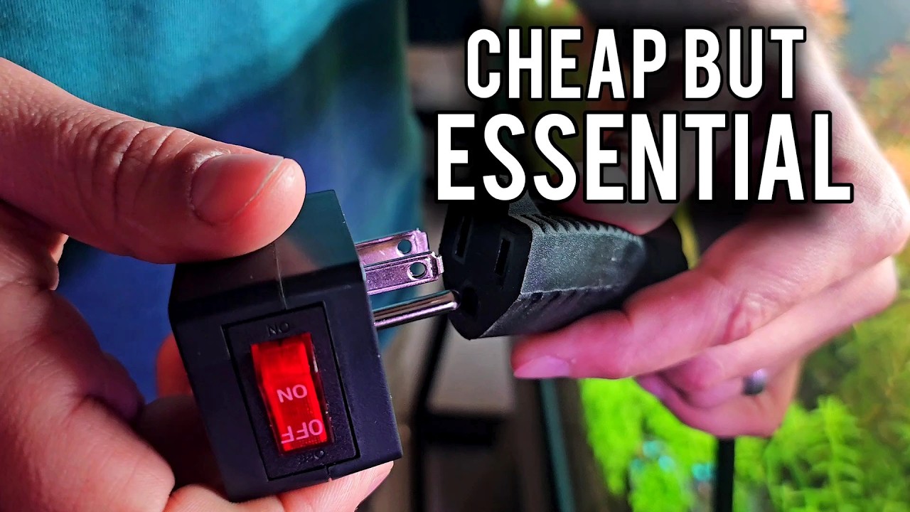 5 Cheap Tools Your Aquarium Desperately Needs