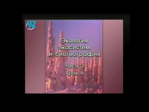 Урок 2.6. Мир водных экосистем. Часть 1