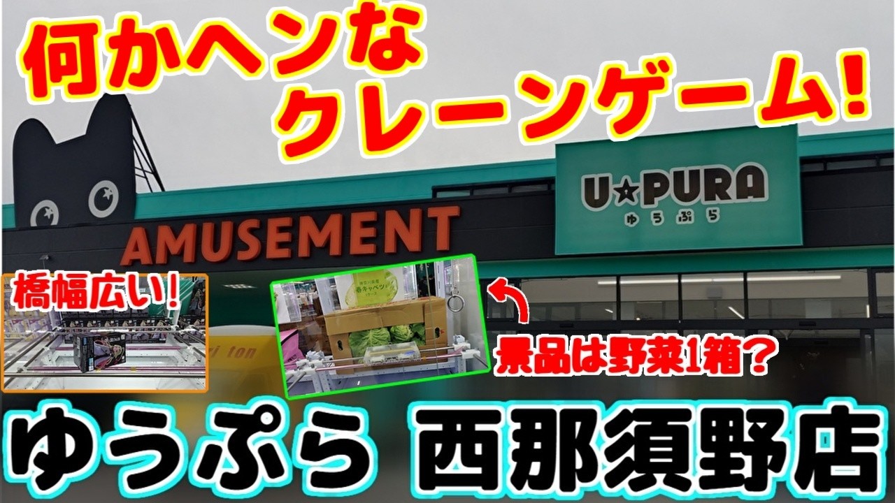 【クレーンゲーム】景品の単位？パワー？橋幅？何かとヘンなクレーンゲームに突撃!