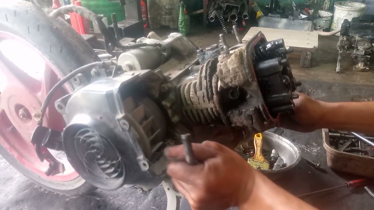 lagi cari spot mancing lewat kebun sawit lihat jamur ini