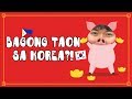 Ano ba ang kinakain ng mga Koreano tuwing bagong taon?! #CNY2019 #VLOG06