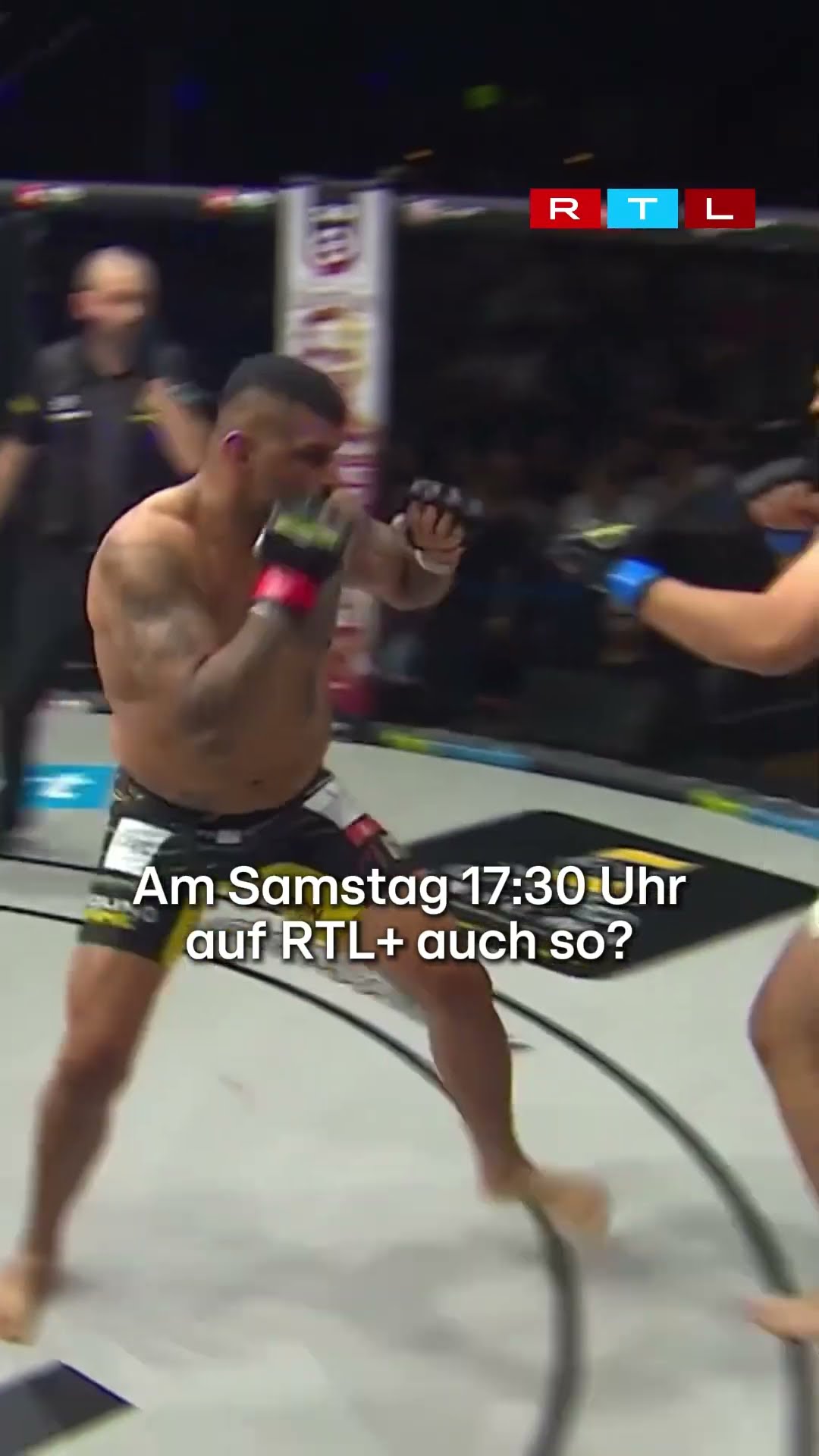 Kann der Champion im Schwergewicht seinen Titel verteidigen?
