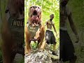 In Dogs Ki Awaaz Sunkar Aapke Rongte Khade Ho Jayenge! 😱"