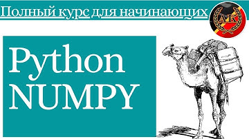 Python NUMPY - Полный Курс для Начинающих