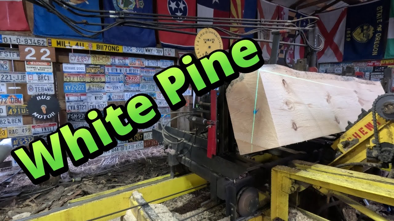 Sawing one nice white pine log # 815