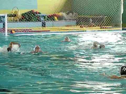 წყალბურთელთა პირველობა