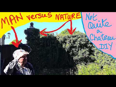 Man versus Nature - Front Courtyard and River Steps Clearing Part 1 - Not Quite a Chateau DIY 365