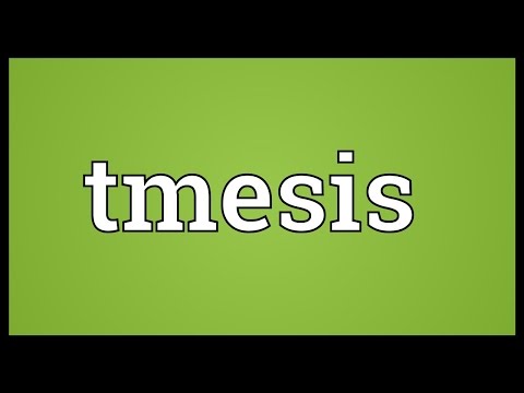 Tmesis Meaning