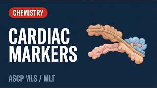 Cardiac and Renal Protein Markers: BNP, Troponin, Cystatin C | ASCP MLS/MLT