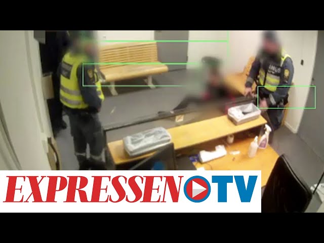 Klitorisdagi chiroyli xoroz Transformers videolarini tomosha qiling