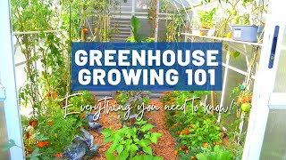 Greenhouse Growing Basics 101 | For beginners and intermediate | Design, Pros and cons, Quirks, Tips