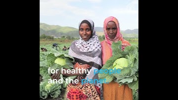 2020 World Day to Combat Desertification and Drought