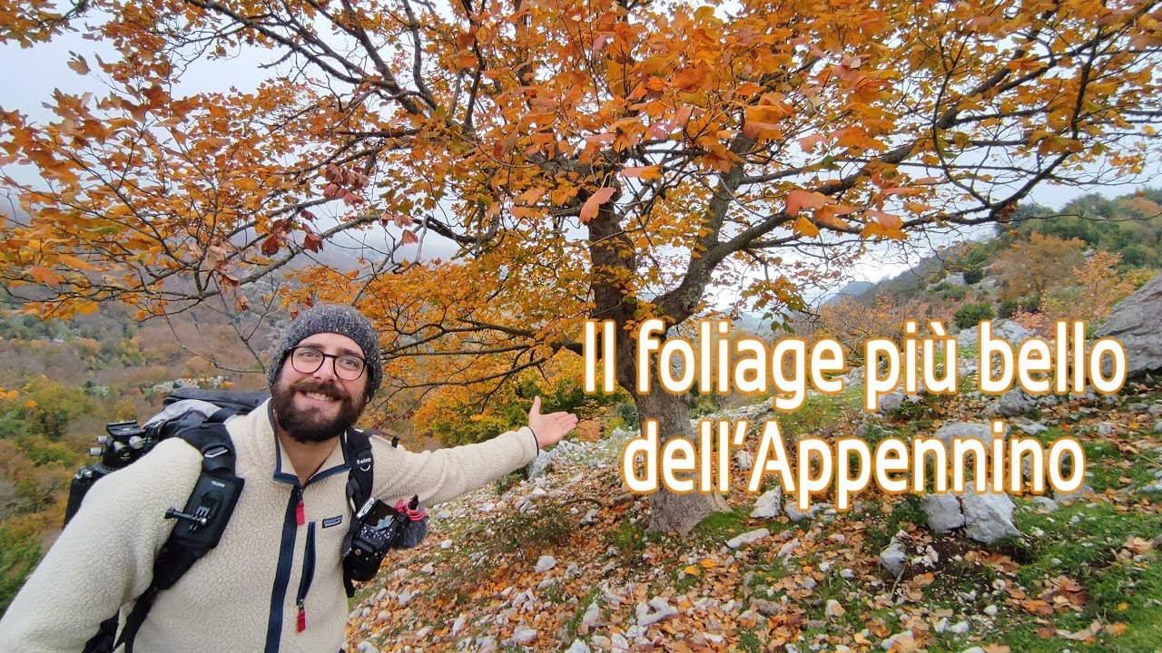 Il foliage più bello dell'Appennino