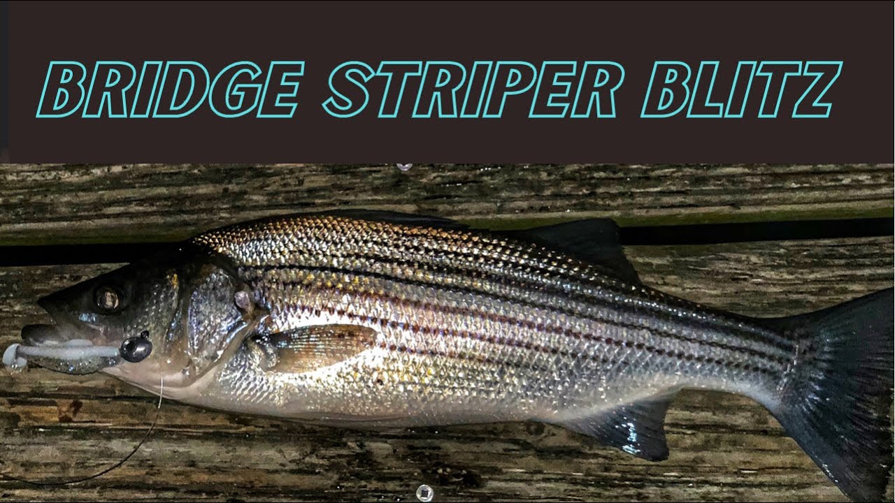 Bridge Striper Blitz! - YouTube