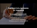 💥 Как вывести из организма токсины? Понятным языком. Посмотрите!