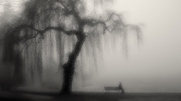 your face / wisp / slowed / 1 hour