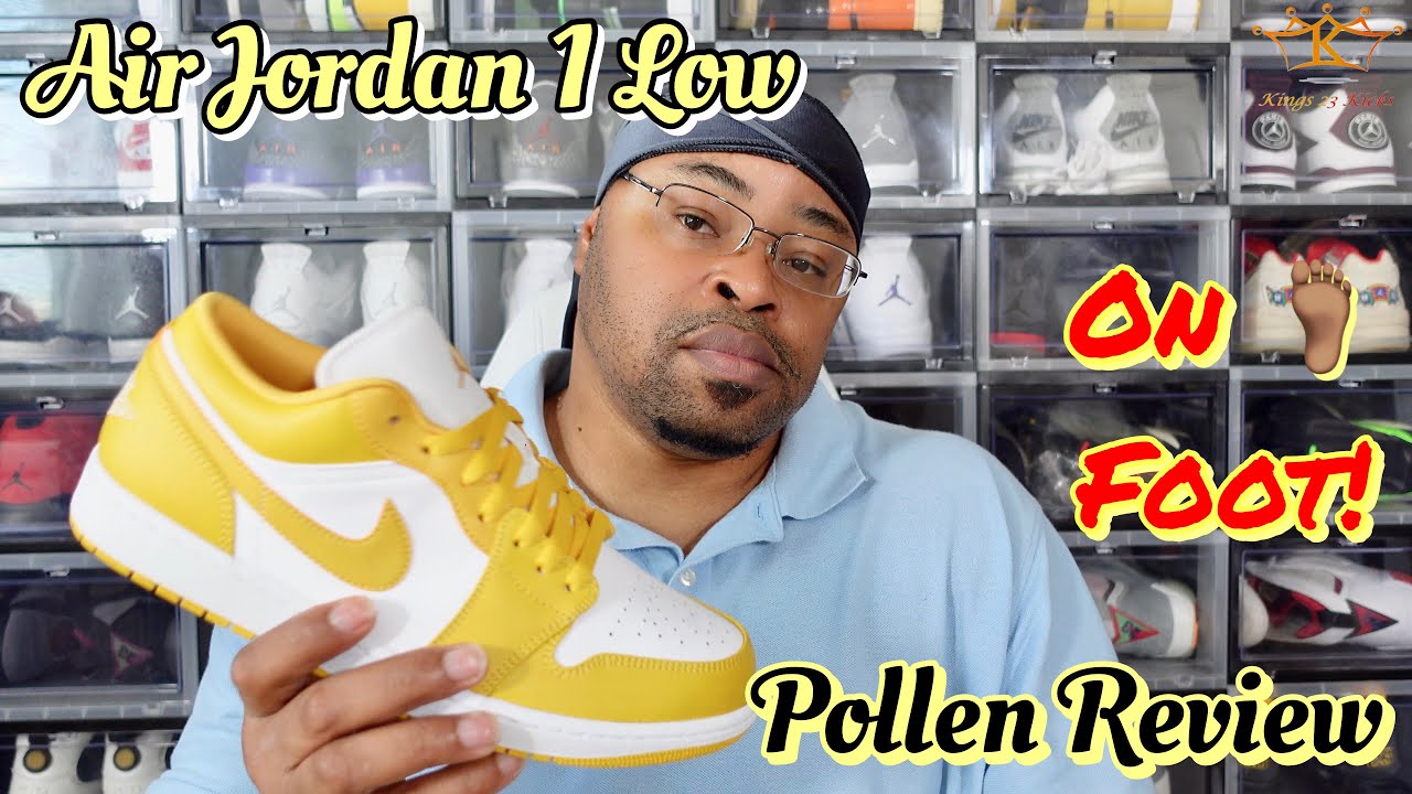 pollen retro 1 low
