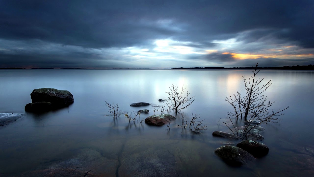 St3phen - Not Alone [Electro House] (No Copyright Music!)