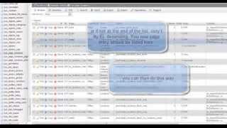 Dolphin 7 place google ads screenshot 4