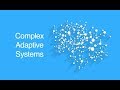 Complex Adaptive Systems