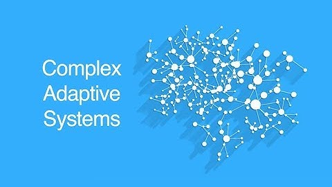 Complexe adaptieve systemen