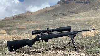 22LR Tikka T1x 400 Yards in the Wind!