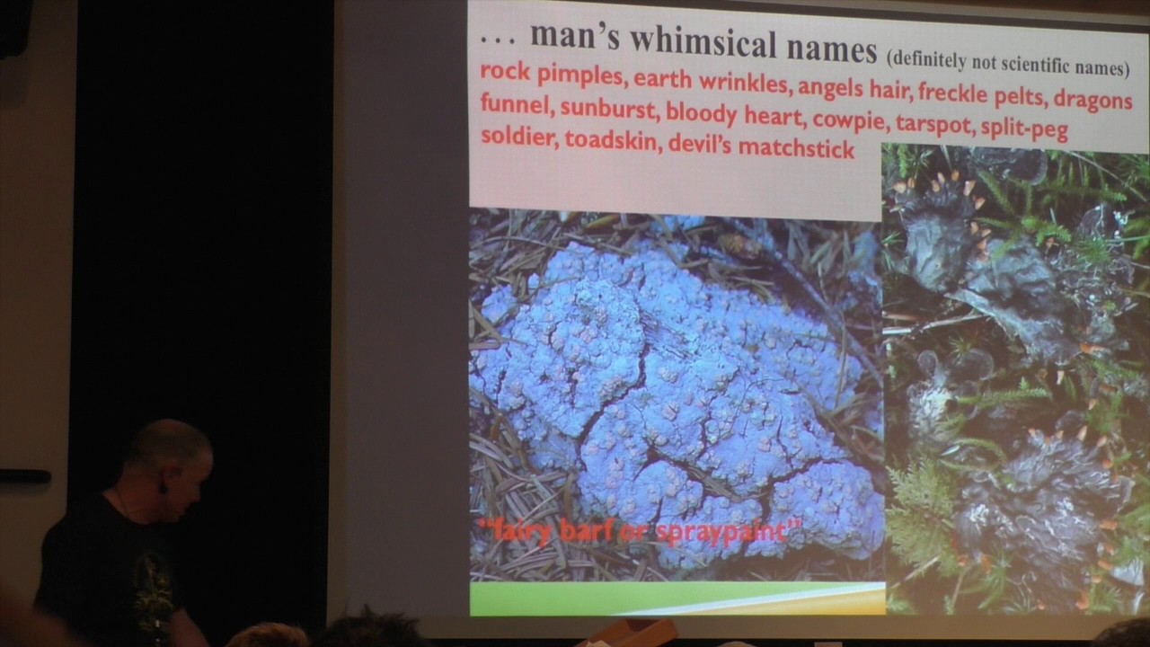 Lichen Part4 - Okanogan County Lichens and their Uses