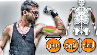 اعرف اسرار ضخامة عضلة البايسيبس | التشريح المتكامل لعضلة الباى 💪