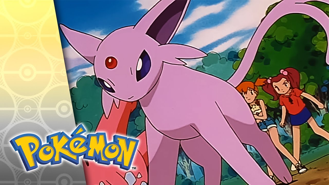 Espeon, Not Included | POKÉMON FULL EPISODE 17 | Season 5