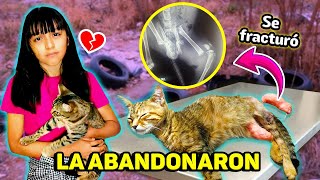 ¡RESCATAMOS A UNA GATITA de LA CALLE!💔¡TENIA LA PATITA DESTROZADA!🐈la ADOPTAMOS