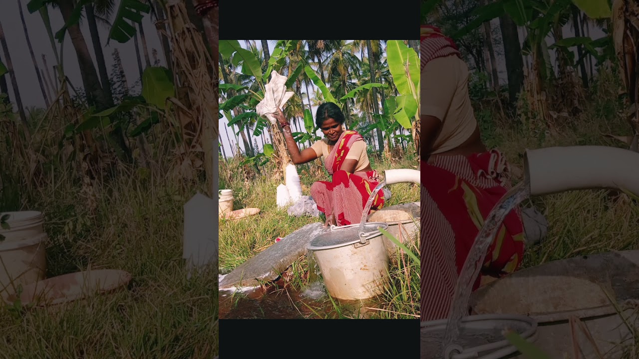 Arogya milk Arokya milk add milk nandini milk Hatsen Curd