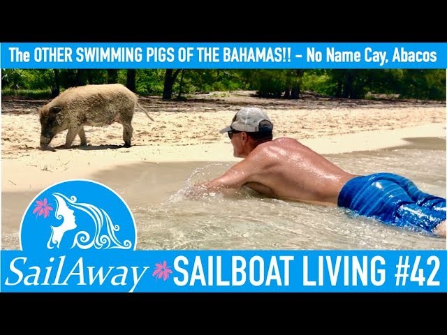 SaiAway 42 | The OTHER Swimming Pigs of the Bahamas | Sailboat Living Sailing Vlog