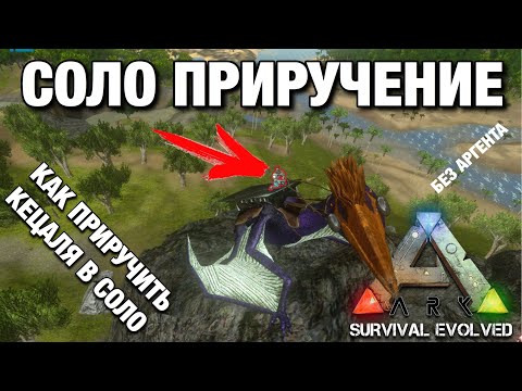 Видео: ГАЙД КАК ПРИРУЧИТЬ КЕЦАЛЯ В СОЛО В ARK SURVIVAL EVOLVED MOBILE! КАК ПРИРУЧИТЬ КЕТЦАЛЬКОАТОЛЯ ОДНОМУ