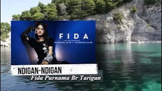 [ORIGINAL KARAOKE BACKING VOCAL] Fida Purnama Tarigan - Ndigan-ndigan || Karaoke|| Lagu Karo