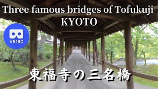 京都 東福寺 の三名橋(臥雲橋→がうんきょう、通天橋→つうてんきょう、偃月橋→えんげつきょう)