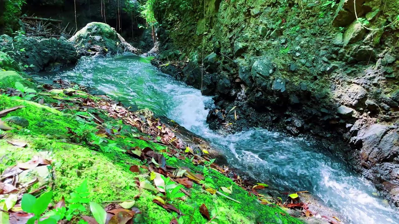 Gentle River Stream 4K UHD Nature Ambience for Deep Meditation Relaxation Focus and Calm