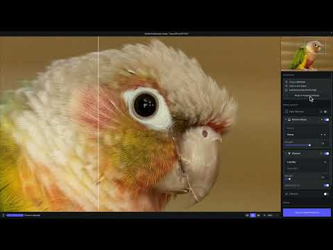 Using Topaz Photo AI with Adobe Photoshop