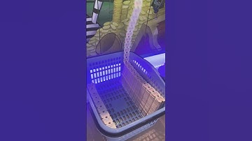 Won 200 Tickets Tom’s World Arcade #youtubeshorts #shorts #shortsvideo #short #shortvideo