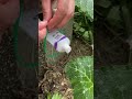 a surefire and easy way to close water pipes using used toothpaste #popular #viralshorts
